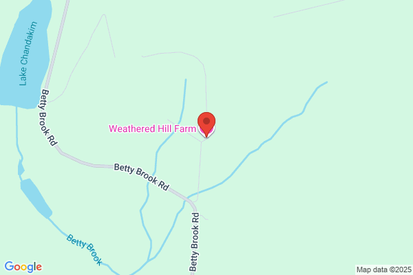 Weathered Willow Tree Farm
