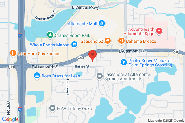 Advance Auto Parts