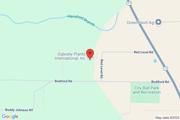 Oglesby Plants International Inc, Nursery