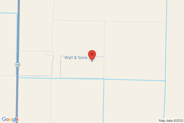 Walt & Sons