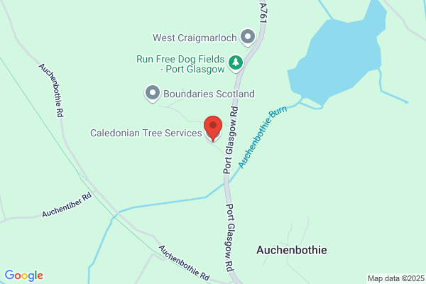 Caledonia Tree Service