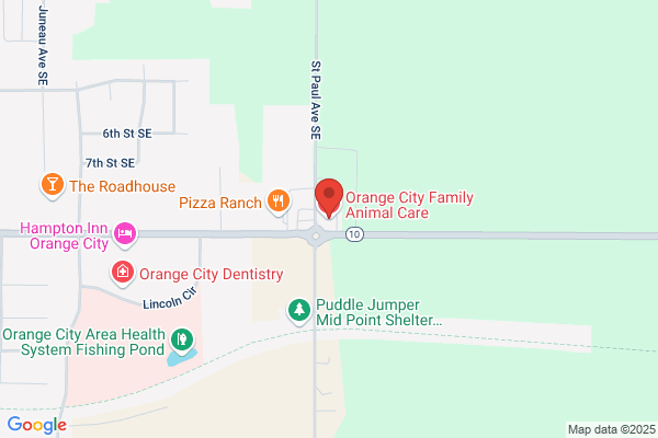 Orange City Family Animal Care