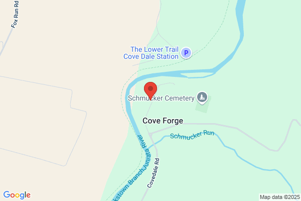 Cove Forge Behavioral Health System Inc