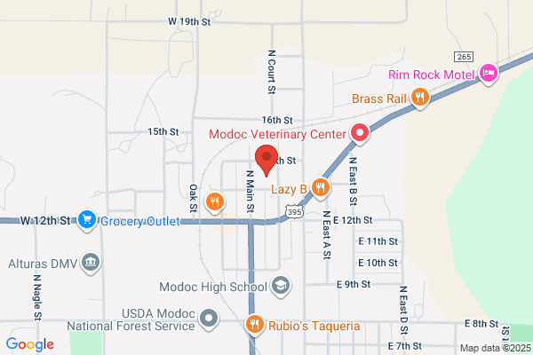FamilySearch center