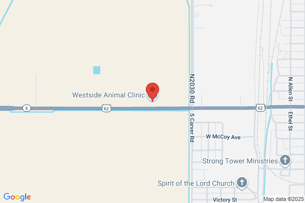 Altus Veterinary Hospital, Spacious Air Conditioned Kennels