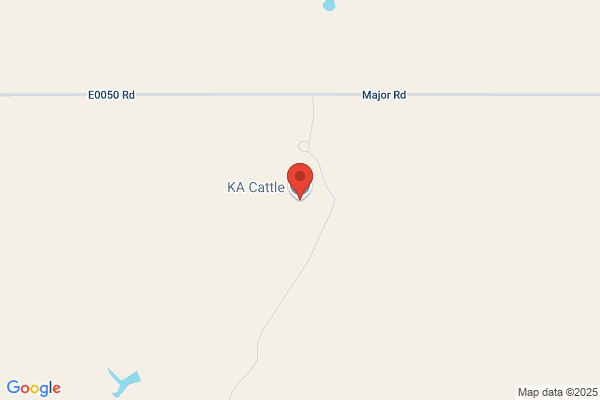 B & K Cattle Company