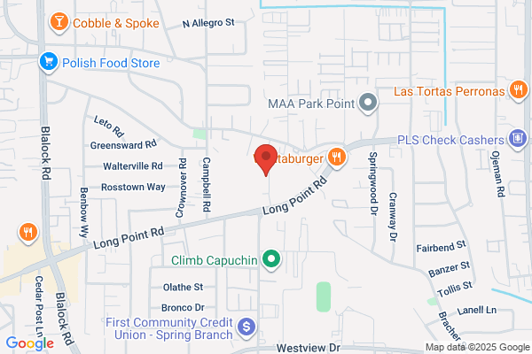 Houston Mosquito Control Systems