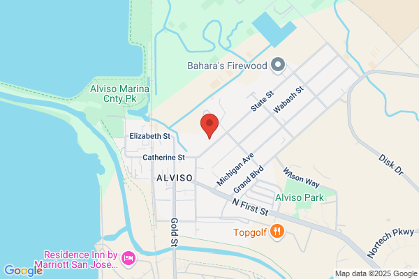Alviso Rock Inc