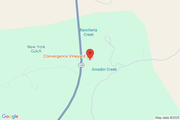 Convergence Vineyard