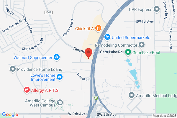 Advance Auto Parts
