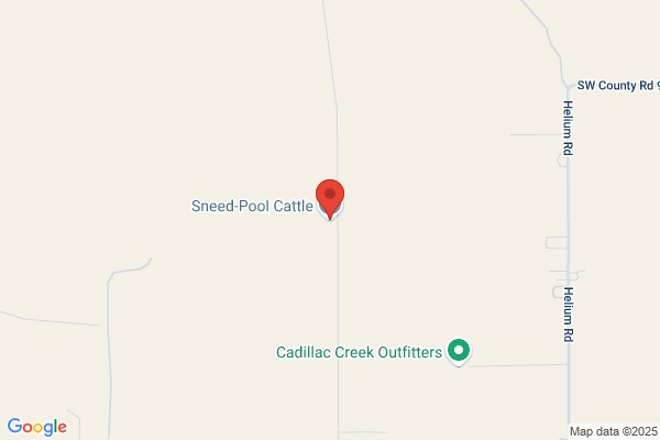 Sanford Texas Ranch Inc