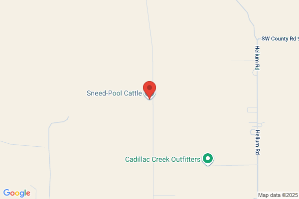 Sneed-Pool Cattle Co Inc