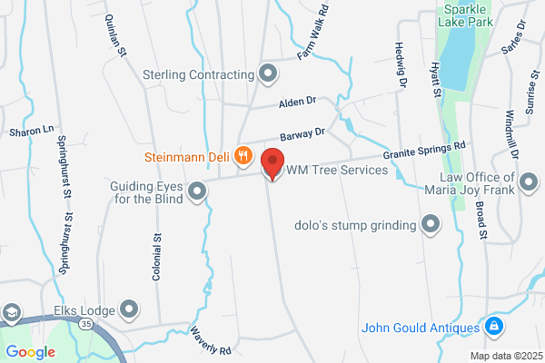 WM Tree Services