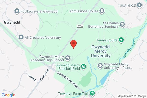 Gwynedd Mercy Academy