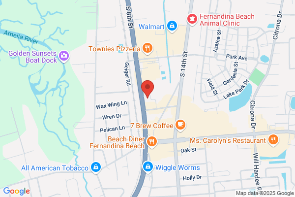 Advance Auto Parts