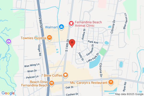 Florida Eye Specialists - Fernandina Beach
