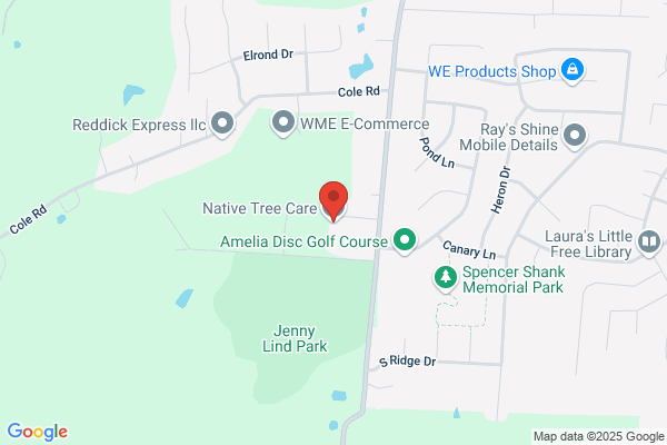 Native Tree Care LLC