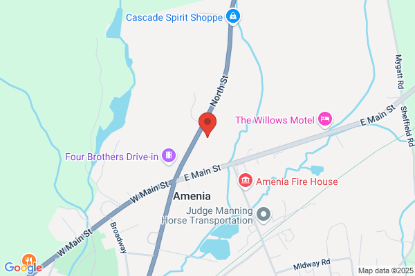 Amenia Town of, Court