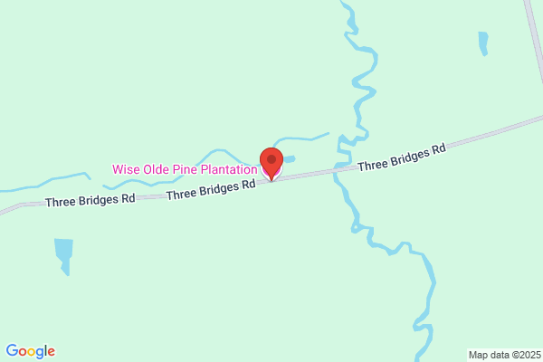 Wise Olde Pine Plantation & Hunting Preserve