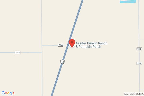 Pumpkin Patch the