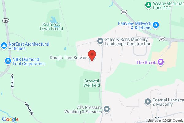 D & D Tree Service Inc