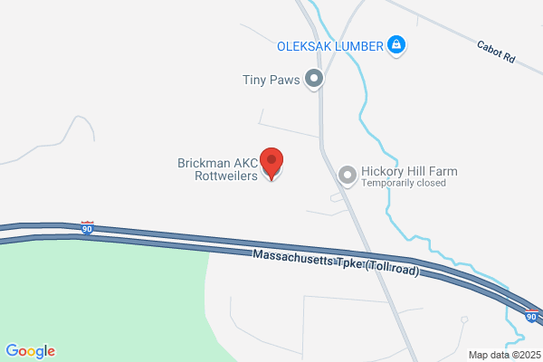 North East Rottweiler Rescue & Referral Inc