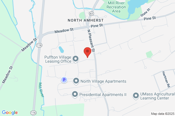 Puffton Village Apartments