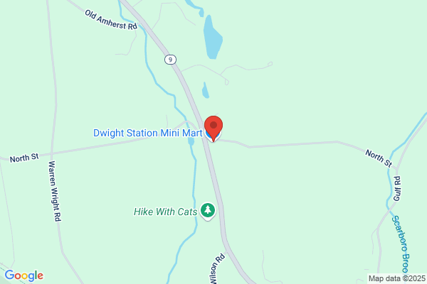 Dwight Station Mini Mart