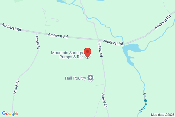 Mountain Springs Pumps and Repair