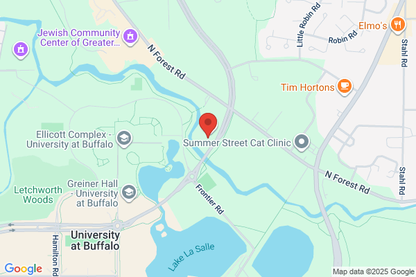 Jill M. Hayes, DDS