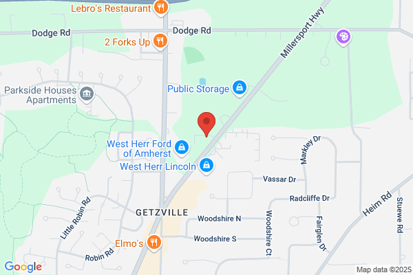 LIFE ARBORIST TREE SERVICES & STUMP GRINDING