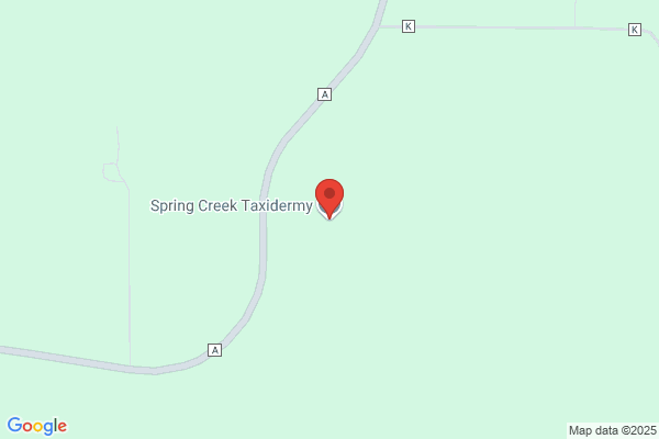 Spring Creek Taxidermy