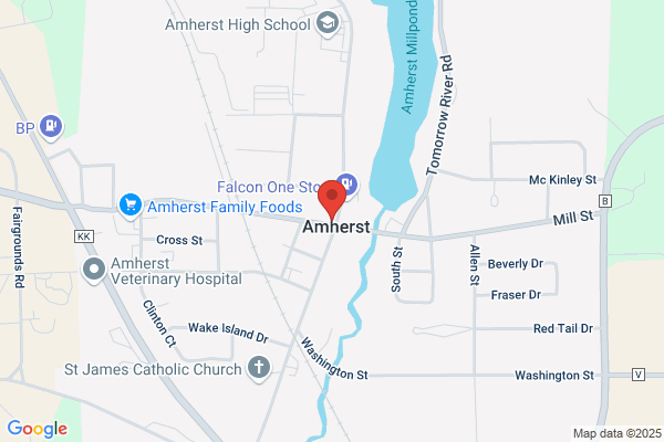 Amherst Academy