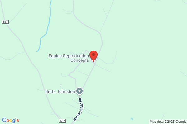Equine Reproduction Concepts