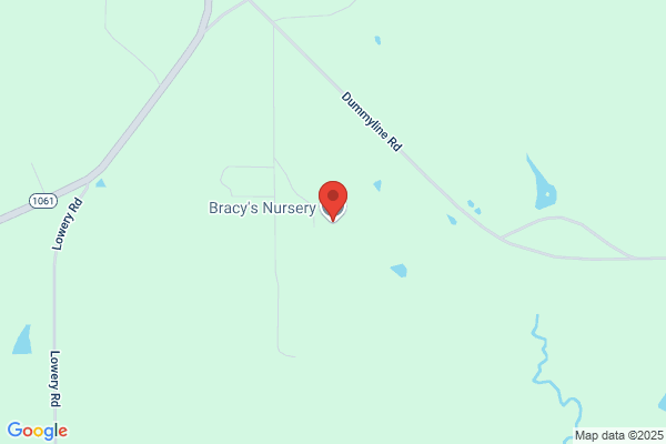 Bracys Nursery