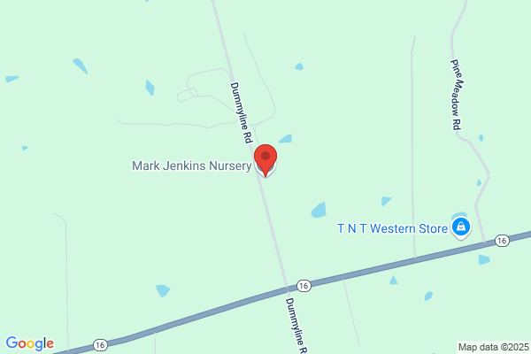 Jenkins Farm and Nursery