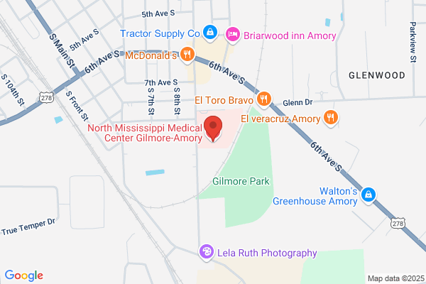 North Mississippi Medical Center Gilmore-Amory