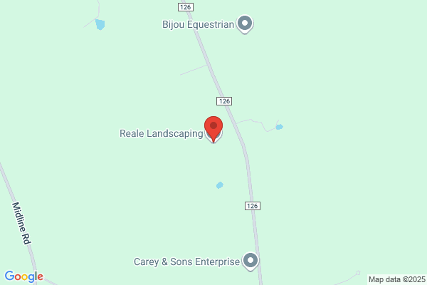 Reale Landscaping & Snow Removal LLC