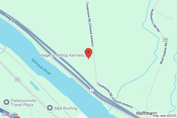 Hagen's Hilltop Kennels