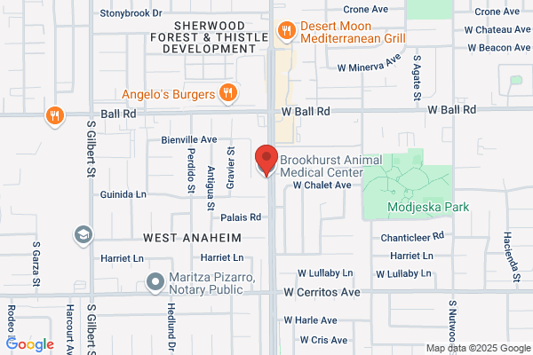 Brookhurst Animal Medical Center