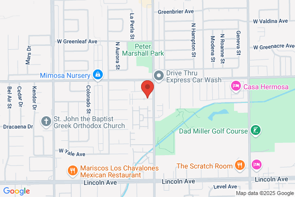 Springtree Apartments