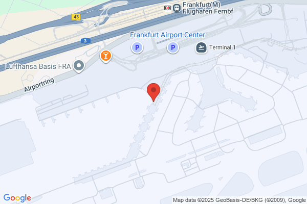 The Perfect Day