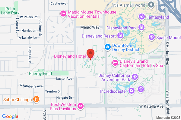 Disneyland Hotel