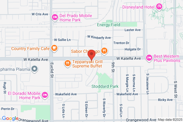Anaheim Palm & Psychic Reading By Judy