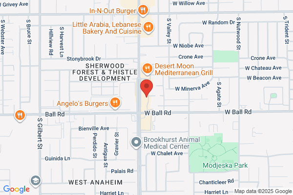 United Methodist Churches, El Sinai