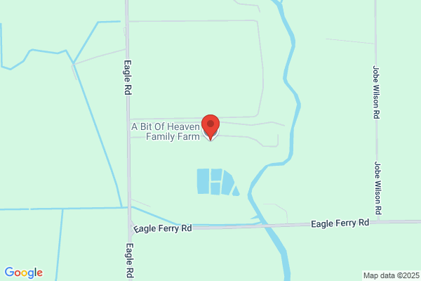 Lucky S Farms
