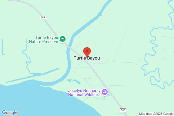 Turtle Bayou Liquir