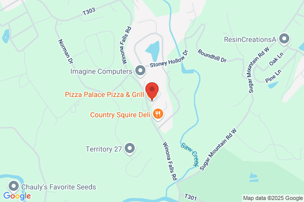 Pizza Palace