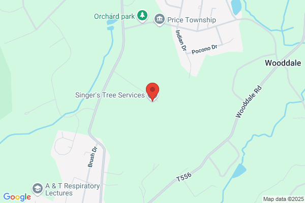 Singer's Tree Service