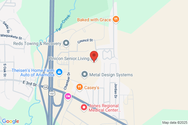 Pinicon Place